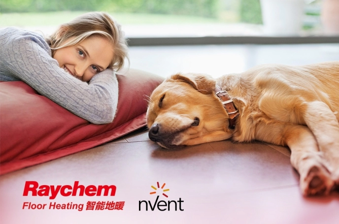 Raychem-new